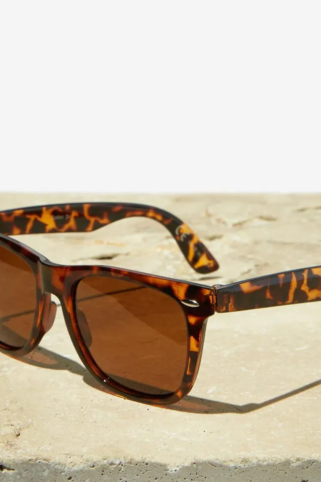 Beckley Polarized Sunglasses Tortbrown Men Cotton On Sunglasses Beckley Polarized Sunglasses Tortbrown Men Cotton On Sunglasses