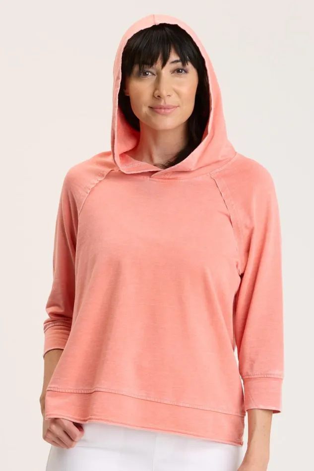 Clothing Sweatshirts XCVI Shula Hoodie Tambourine Burnout