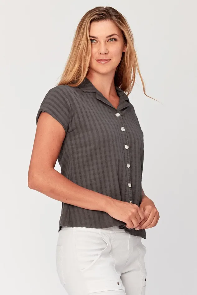 Clothing Tees XCVI Orla Top Bristlecone