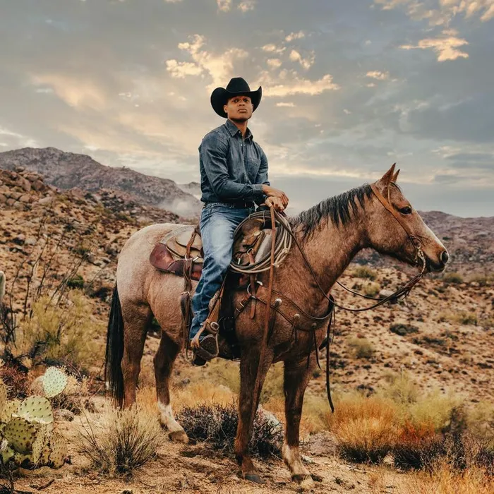 Dirty Denim Western Shirt Blue Men Stetson Western Shirts