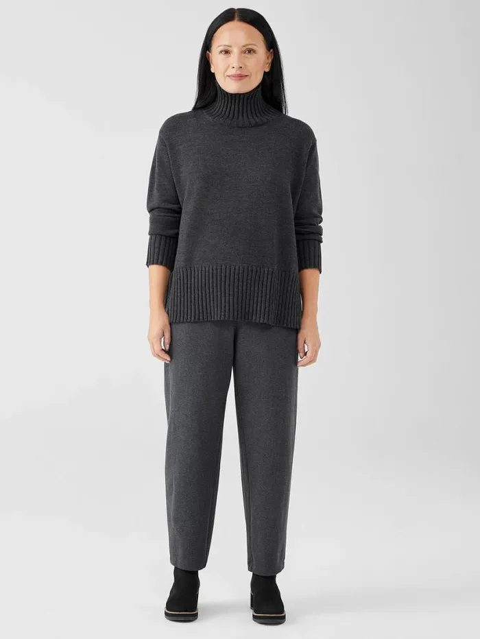 Eileen Fisher Sweaters and Cardigans Merino Jersey Turtleneck In Regenerative Wool Charcoal 8211 Shop