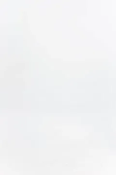 Knitted Seamless Mini Dress Black Women MISBHV Knitwear