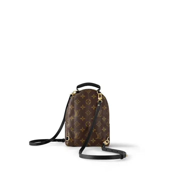 Louis Vuitton Backpacks Louis Vuitton Monogram M44873 Palm Springs Mini 8211 Louis Vuitton Handbag Store 8211 Women Louis Vuitton Backpacks Louis Vuitton Monogram M44873 Palm Springs Mini 8211 Louis Vuitton Handbag Store 8211 Women
