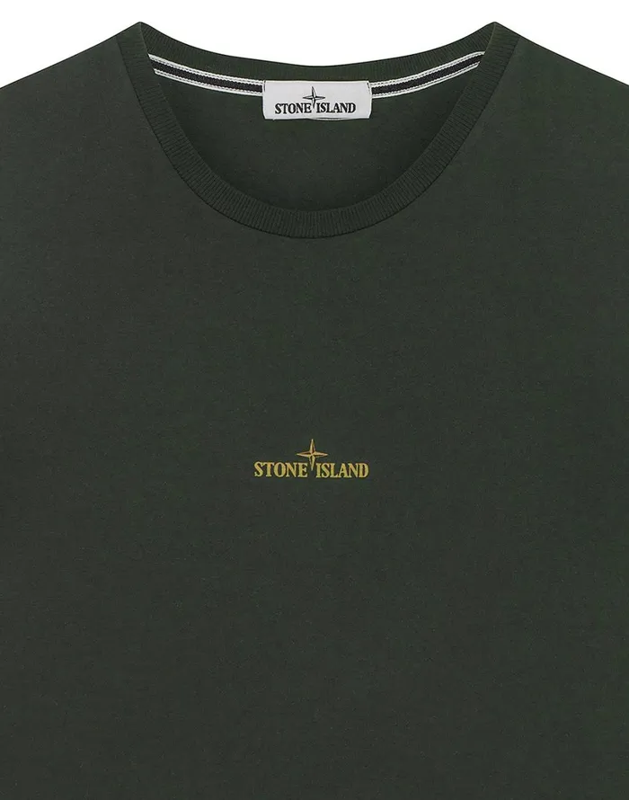 Mens 2Ns81 Paint Stroke 2 Short Sleeve TShirt In Dark Forest Stone Island TShirts