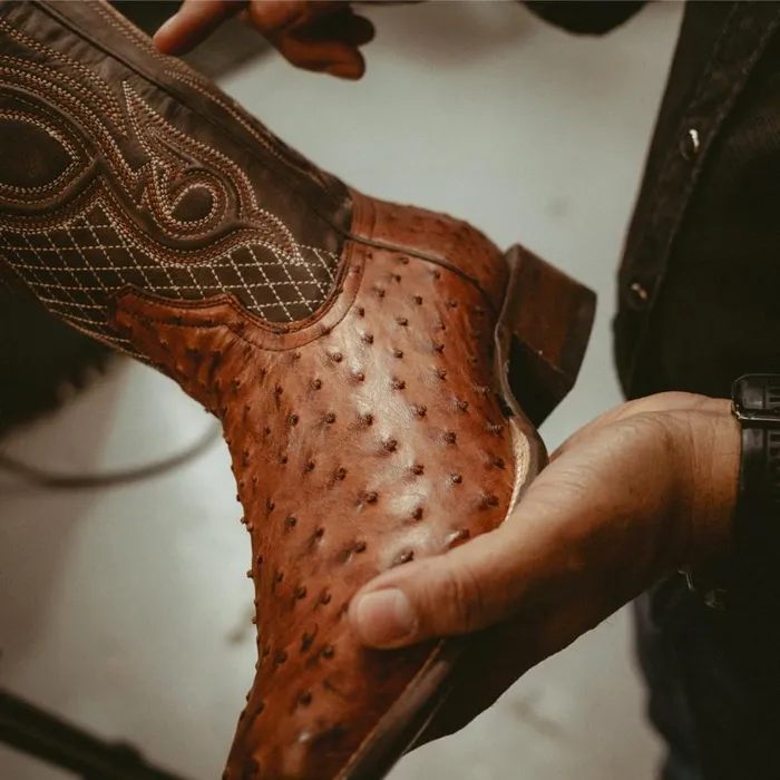 Ozzy Ostrich Boot Brown Men Stetson Western