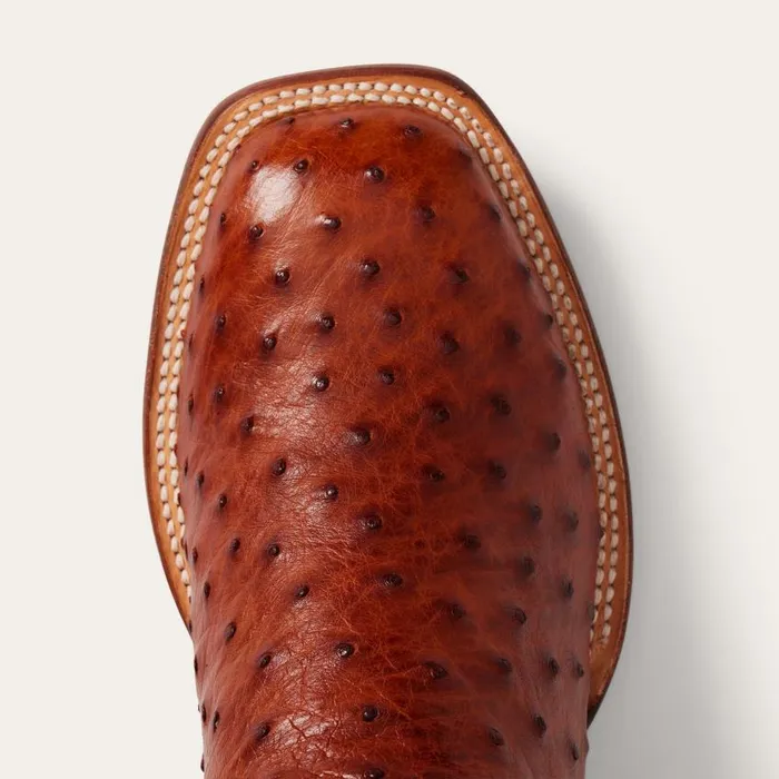 Ozzy Ostrich Boot Brown Men Stetson Western
