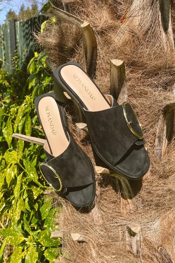 Sosandar Sandals and Flip Flops Women Maddison Black Suede Mule Sandal With Gold Buckle Detail Black