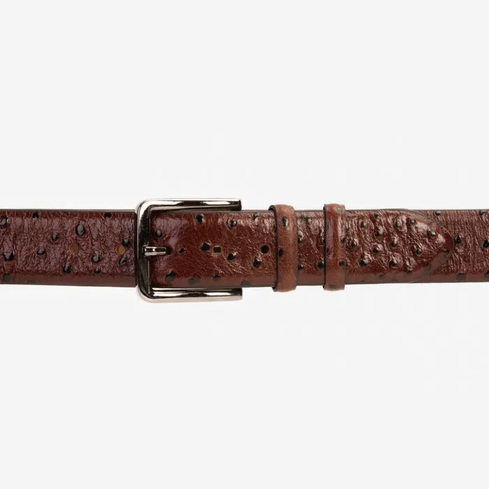 Vinci Leather Leather Belts The Johannesburg Brown Leather Belt 8211 Men