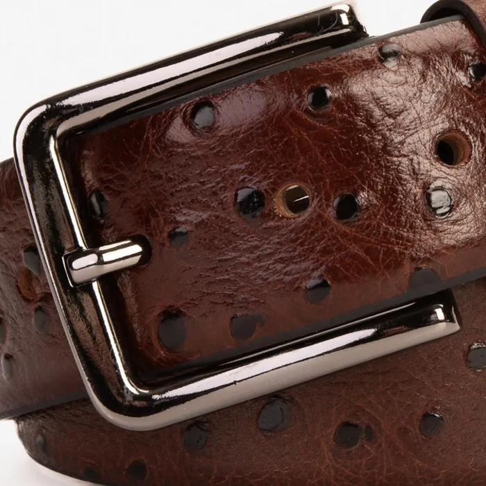 Vinci Leather Leather Belts The Johannesburg Brown Leather Belt 8211 Men