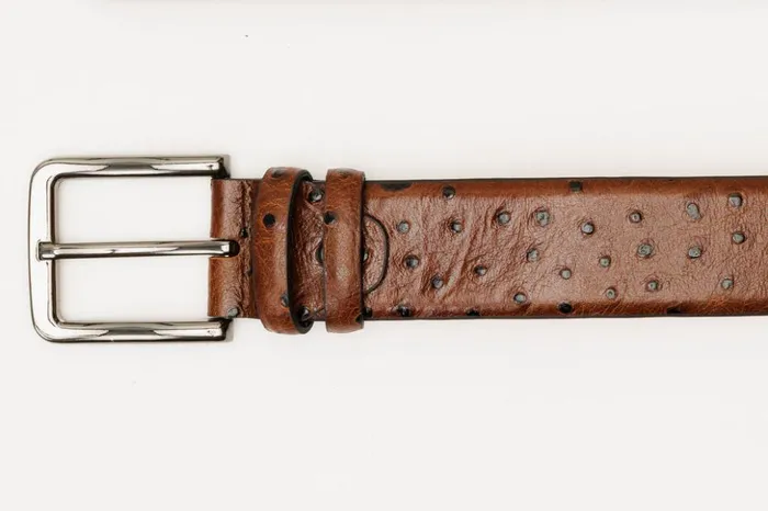 Vinci Leather Leather Belts The Johannesburg Brown Leather Belt 8211 Men