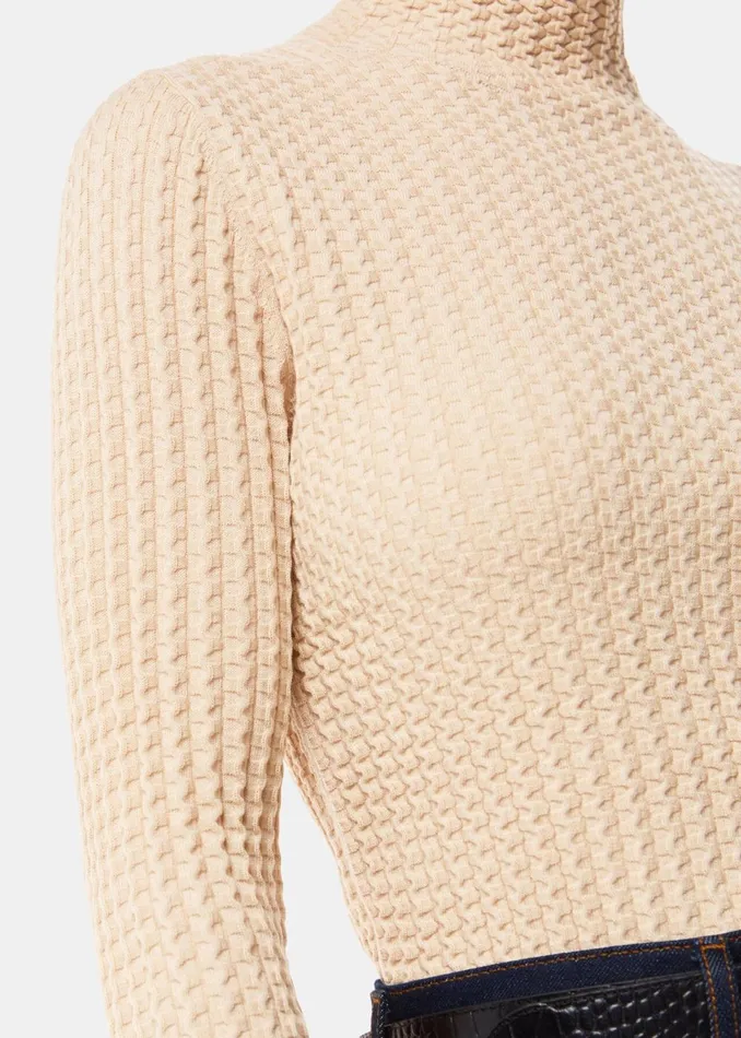 Women Knitwear and Cashmere Whistles Ivory Textured Detail High Neck Knit